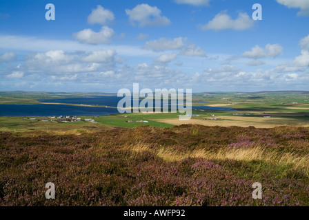 dh Loch of Stenness STENNESS ORKNEY Heather hills view Loch of Harray and Loch of Stenness mainland landscape landscapes summer Stock Photo