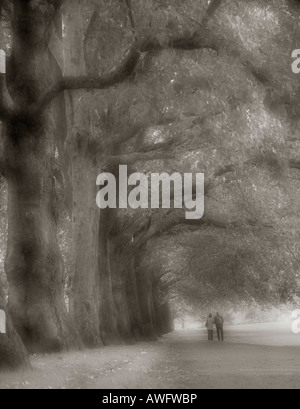 Pedestrians walking in St James Park in London Stock Photo