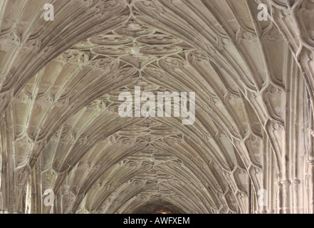 Detail of the gothic fan vaulted ceiling in the Cloisters of Gloucester cathedral Stock Photo