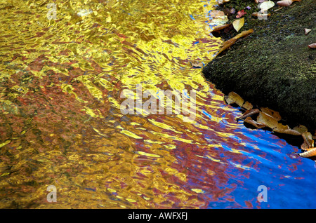 Reflection of autumn leaves in the rippled surface of a river Stock Photo