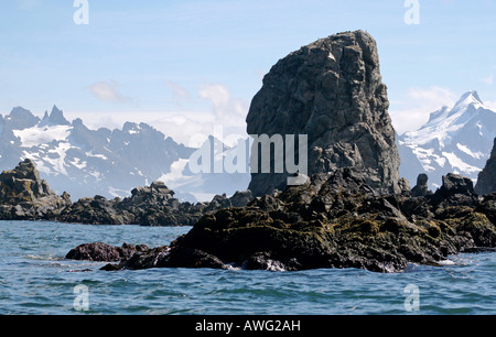 rock outcropping on the island of South Georgia, near Antarctica Stock Photo