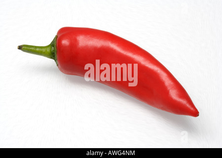 Red Chilli Stock Photo