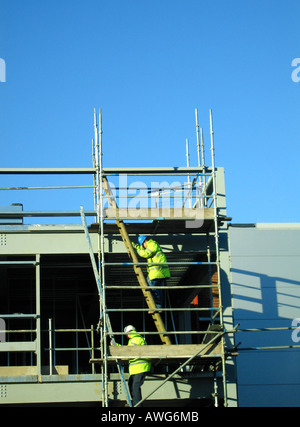 Workers climbing access ladders on scaffold on building site Stock Photo