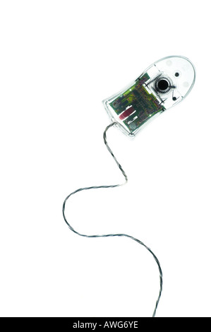 XRAY-LIKE TRANSPARENT COMPUTER MOUSE ON A WHITE BACKGROUND Stock Photo