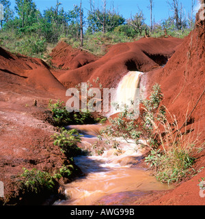 Stream and small waterfall in the Kokee State park Kauai Hawaii USA showing red color of soil in the area Stock Photo