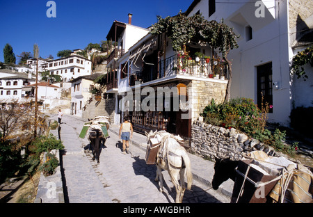 central greece thessaly pelion pilion village of makrinitsa donkeys in main street Stock Photo
