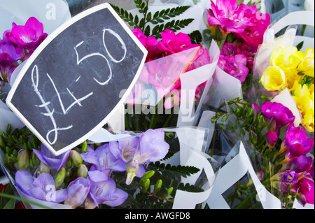 Sale sign flowers Midlands England Stock Photo