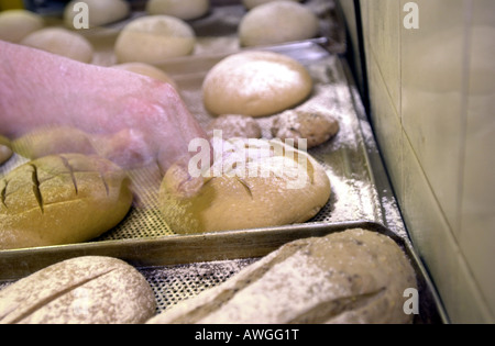 Baker cuts stripes in the top of a loaf of bread uk Stock Photo