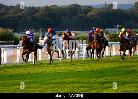 Horse racing at Sandown Park in Surrey, England Stock Photo