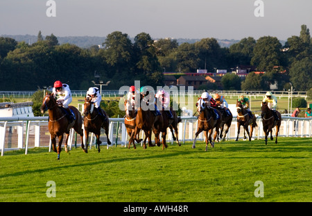 Horse racing at Sandown Park in Surrey, England Stock Photo