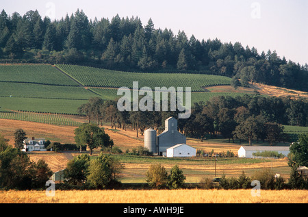 USA, Pacific Northwest, Oregon, Yamhill County, farms and farm buildings dotting valley beneath vineyard slopes Stock Photo