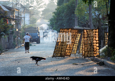 street scene of cockerel, old lady, drying flat bread on racks, a lorry and a tuk tuk in Luang Prabang, Laos Stock Photo