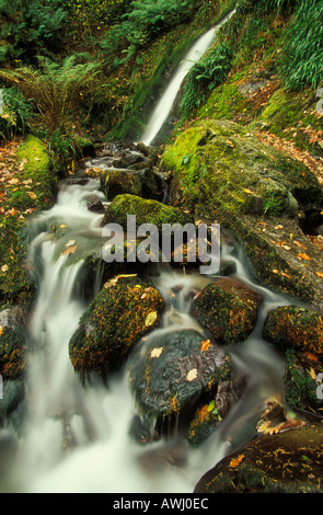 Autumn waterfall above Loweswater Lake District Cumbria England UK GB EU Europe Stock Photo