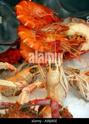 Paris display of shell fish at Le Procope restaurant in St Germain des Pres Stock Photo