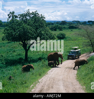 Tourists On a Landrover Watching A family Of Elephants  In The Serengeti Tanzania East Africa Stock Photo