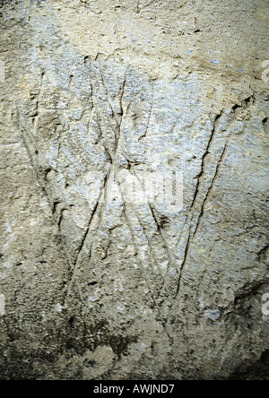W, text, carved. Stock Photo