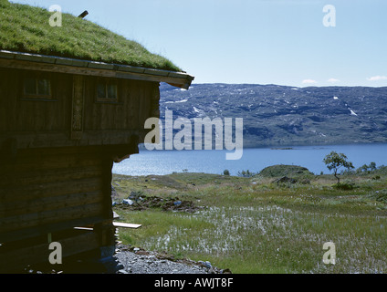 Norway, grass-roofed cabin near water Stock Photo