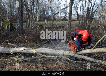 Work with chain saw Stock Photo