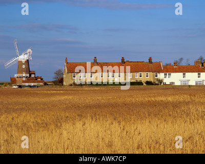 Cley windmill and cottages beyond golden reedbed in East Anglia village. 'Cley next the sea' Norfolk England UK Britain Stock Photo