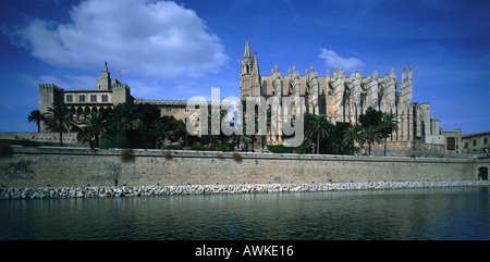 Trees in front of cathedral, Le Seu Cathedral, Palma de Majorca, Majorca, Balearic Islands, Spain