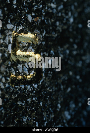 5 text, embossed on rough surface Stock Photo