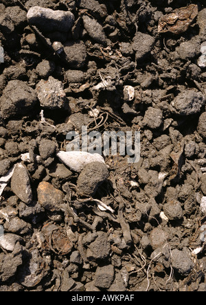 Dirt and rocks with bits of trash Stock Photo