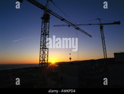 Cranes at sunrise Stock Photo