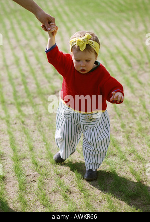 Toddler walking, holding adult hand Stock Photo