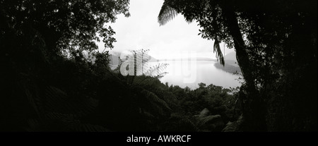 New Zealand, sea viewed through gap in vegetation, panoramic view Stock Photo