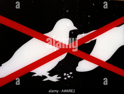 No feeding pigeons sign, close-up Stock Photo
