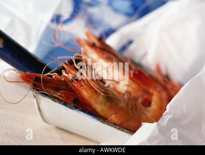 Shrimp, close-up Stock Photo