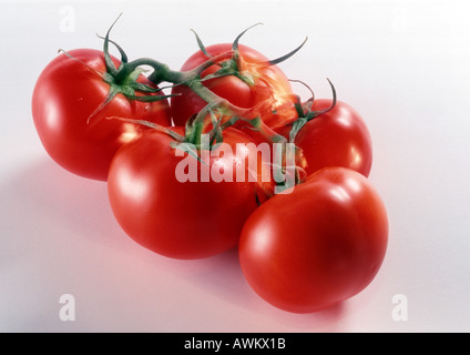 Bunch of vine tomatoes, close up Stock Photo