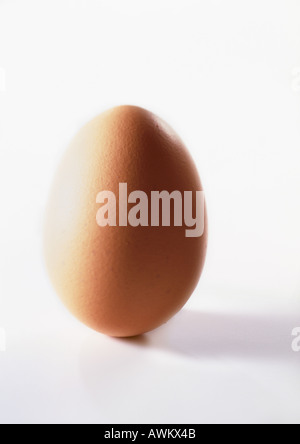 Brown egg, close-up Stock Photo