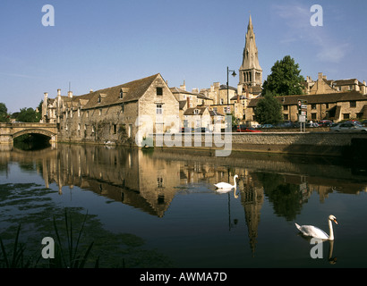 Swans swimming in river, St. Mary's Church, Leicestershire, France, Europe Stock Photo