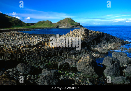 Rock formations on coast, Giant's Causeway, County Antrim, Republic Of Ireland Stock Photo