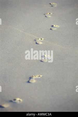 Footprints on sandy beach Stock Photo