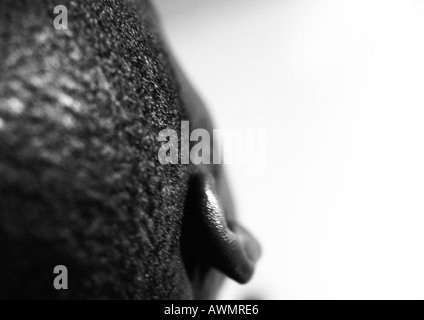 Man's ear, close up, view from behind, black and white. Stock Photo