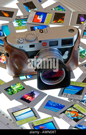 Slides laid out on a light-table, lightbox Stock Photo