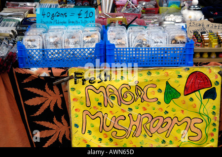 Psychedelic magic mushrooms being sold on market stall London England UK Stock Photo