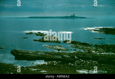 Coquet Island, off the Northumberland coast, near Amble, Northumberland, England, UK. Stock Photo