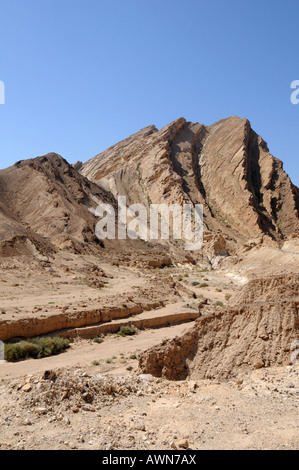 negev desert Israel Stock Photo