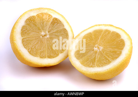 Aufgeschnittene Zitrone vor weißemHintergrund / Lemon cut into two halves Stock Photo
