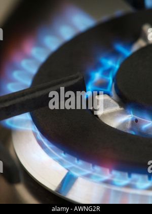 closeup of blue gas flame of stainless smeg cooker stove Stock Photo