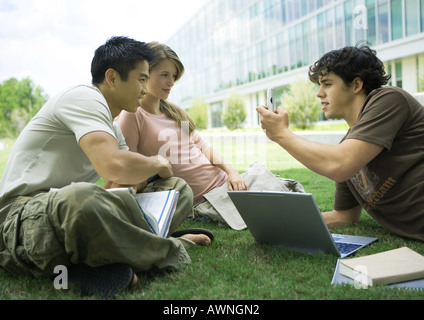 Group of college students studying in grass Stock Photo