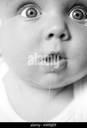 Baby with mouth open, drooling, eyes wide open, looking out of frame, extreme close-up, B&W. Stock Photo