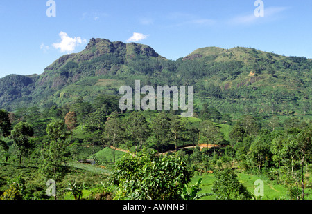 Sri Lanka hill country near Nuwara Eliya Stock Photo