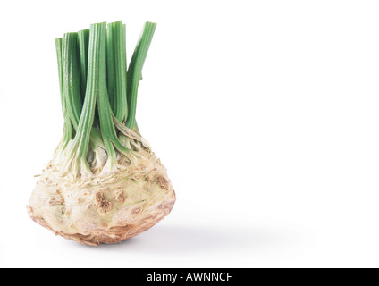 Celery root with cut stalks Stock Photo