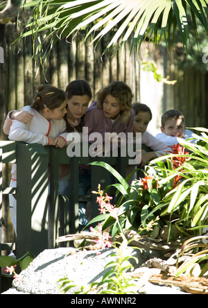 Group of children looking over railing in wildlife park Stock Photo