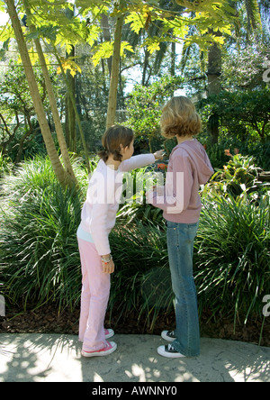 Two girls looking at birds in wildlife park Stock Photo