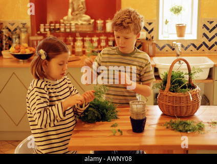 Children in kitchen handling herbs Stock Photo